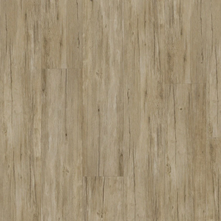 Thermofix PRO Wood, Buk templářský