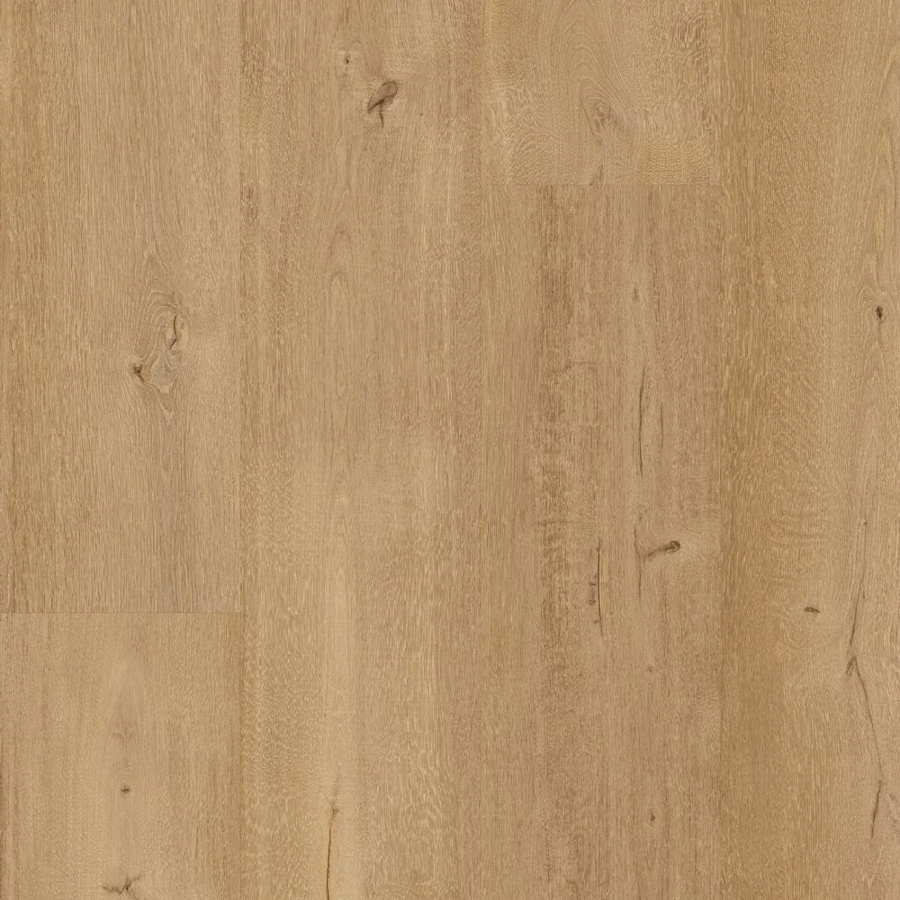 Frangipane, Lively - lehce rustikální, synchronní struktura dřeva, podlaha vinylová rigidní Floorify XL PLANKS