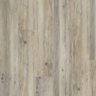Thermofix PRO Wood, Borovice sibiřská