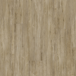Thermofix PRO Wood, Buk templářský